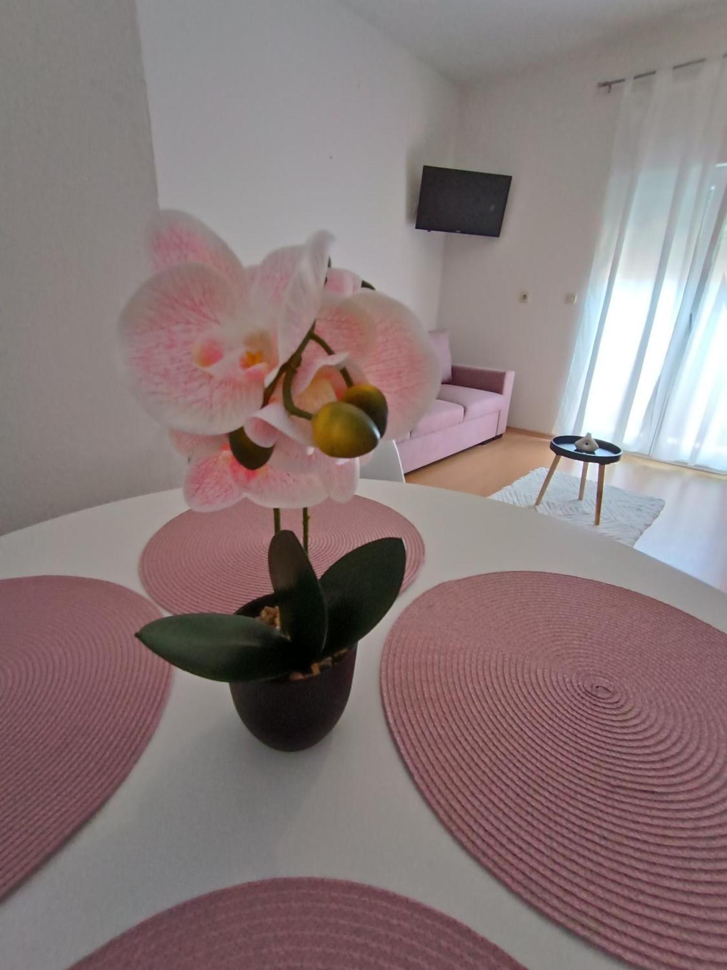 Apartman Lea Sukošan Kültér fotó